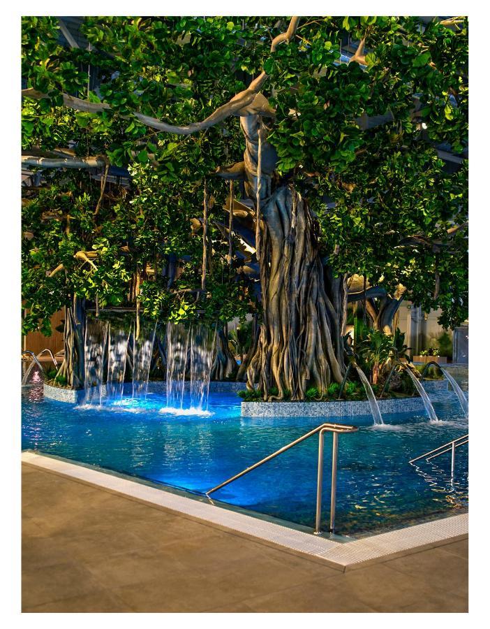 Amazonia Apartments Тимишоара Экстерьер фото